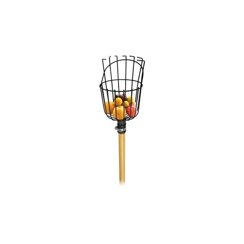 Apanha Frutos Com Cabo Flux