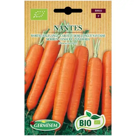 Sementes de Cenoura Nantes Germisem Germisem