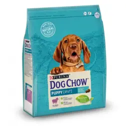 Ração Seca para Cão Junior Dog Chow Puppy com Cordeiro com Arroz 2,5kg Purina Purina
