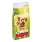 Ração Seca para Cão Active Adult 10Kg Friskies