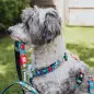 Max & Molly - Trela Multi "little Monsters" tam. Max&Molly Max & Molly - Trela Multi "little Monsters" tam. Max&Molly