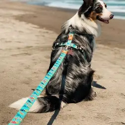 Max & Molly - Trela Multi "paradise" tam. M Max&Molly Max&Molly