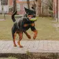 Max & Molly - Brinquedo C/ Pelucia "bob The Blob" Max&Molly Max & Molly - Brinquedo C/ Pelucia "bob The Blob" Max&Molly