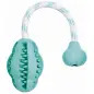Dentafun Borracha C/ Menta - Jumper C/ Corda 8 Cm / 2 Trixie Dentafun Borracha C/ Menta - Jumper C/ Corda 8 Cm / 2 Trixie