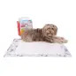 Zooz Pads - Resguardos Absorventes 80x60 Cm emb. C/ Snoopy Zooz Pads - Resguardos Absorventes 80x60 Cm emb. C/ Snoopy