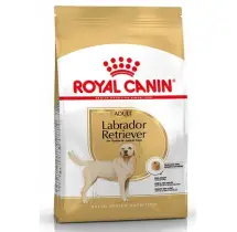 Ração Seca para Labrador Retriever Adult 12kg Royal Canin RoyalCanin