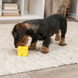 Cubo Em Borracha Termoplastica tpr P/ Snacks - 6 Cm Trixie Trixie