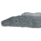 Enguia "karl" Em Pelucia/corda - 75 Cm Trixie