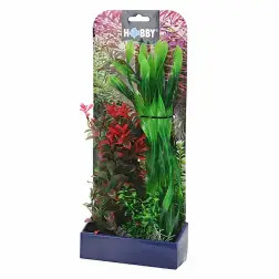 Plantas Set 2 kit 3 Plantas Hobby Hobby