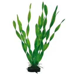 Plantas Set 2 kit 3 Plantas Hobby Hobby