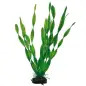 Plantas Set 2 kit 3 Plantas Hobby Plantas Set 2 kit 3 Plantas Hobby
