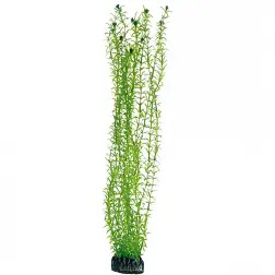 Plantas Set 2 kit 3 Plantas Hobby Hobby