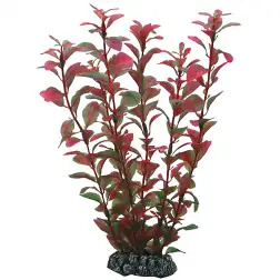 Plantas Set 2 kit 3 Plantas Hobby Hobby