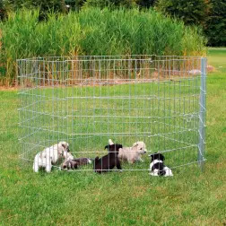 Recinto Galvanizado C/ Porta P/ Cachorros Trixie Trixie