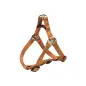 Peitoral Step-in "premium" m 50-65cm/20mm caramelo Trixie