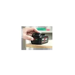 Bateria Iões Litio 20V 4,0Ah Max BR1E3104AA Skil Skil