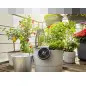 Conjunto Rega AquaBloom Gardena