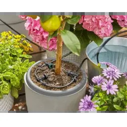 Conjunto Rega AquaBloom Gardena Gardena