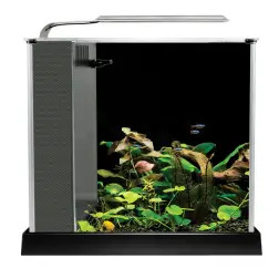 Aquario Kit FIuval Spec 10Lt Preto 10515 Fluval Fluval