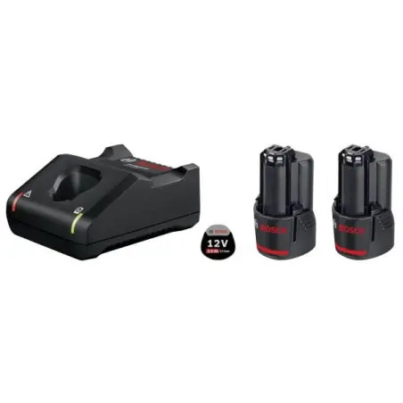 Power Set 2x12V 2,0Ah+GAL 12V-40 1600A019R8 Bosch Bosch