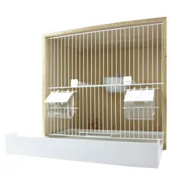 Viveiro Madeira Choupo 1 Divisória para Canario 38x30x35cm Valpec