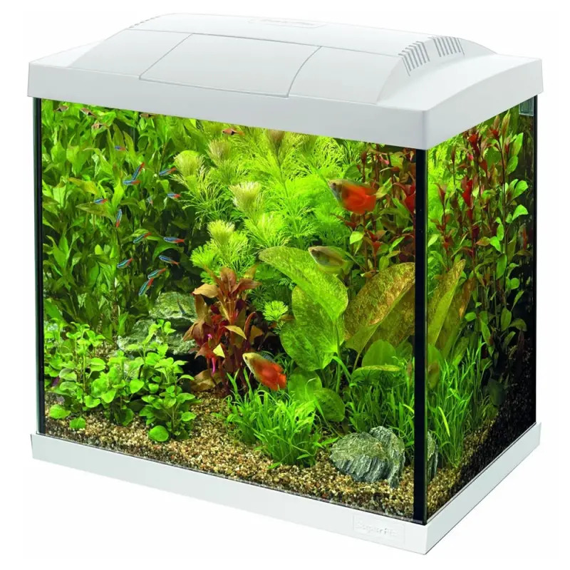 Aquario Superfish Start 50 Lt branco 48x28x42 Cm Superfish Aquario Superfish Start 50 Lt branco 48x28x42 Cm Superfish