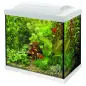 Aquario Superfish Start 50 Lt branco 48x28x42 Cm Superfish Aquario Superfish Start 50 Lt branco 48x28x42 Cm Superfish