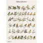 Poster Mandarins zebrafinches Van Keulen