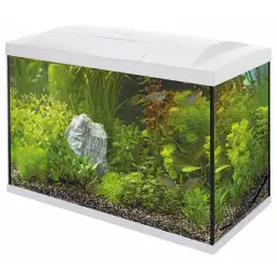 Aquario Superfish Start 70 Lt branco 58x30x45 Cm Superfish SuperFish
