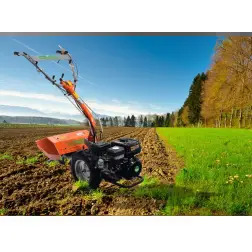Motocultivador 196cc Reversível  Mader  G MADER GARDEN TOOLS #2 - 1240050025