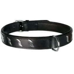 Coleira "Active" com Aplicador de Metal Trixie - M-L - 42/-48cm/25mm - 1040080927