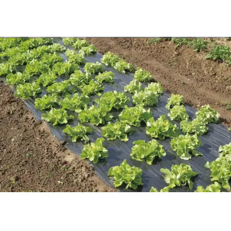Filme Microperfurado para Cultivo Terrafilm 1,4x10mt Nortene Nortene