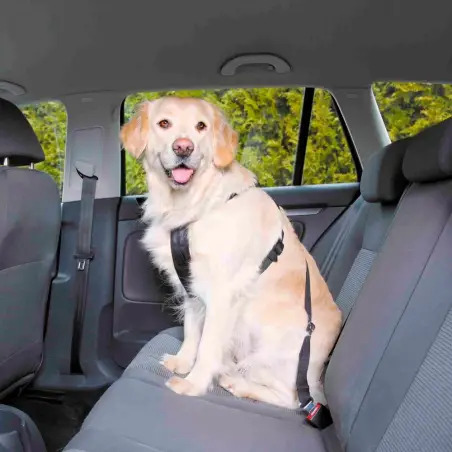 Cinto de Segurança Automóvel para Cão XL 1293 Trixie Trixie